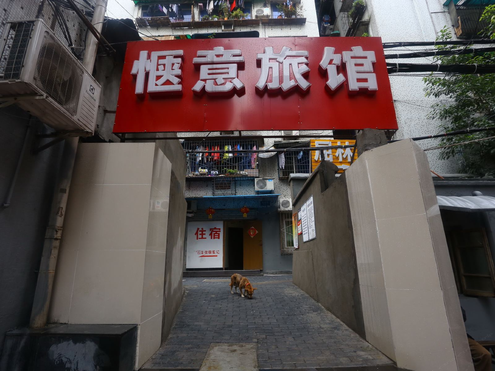 重庆惬意旅馆