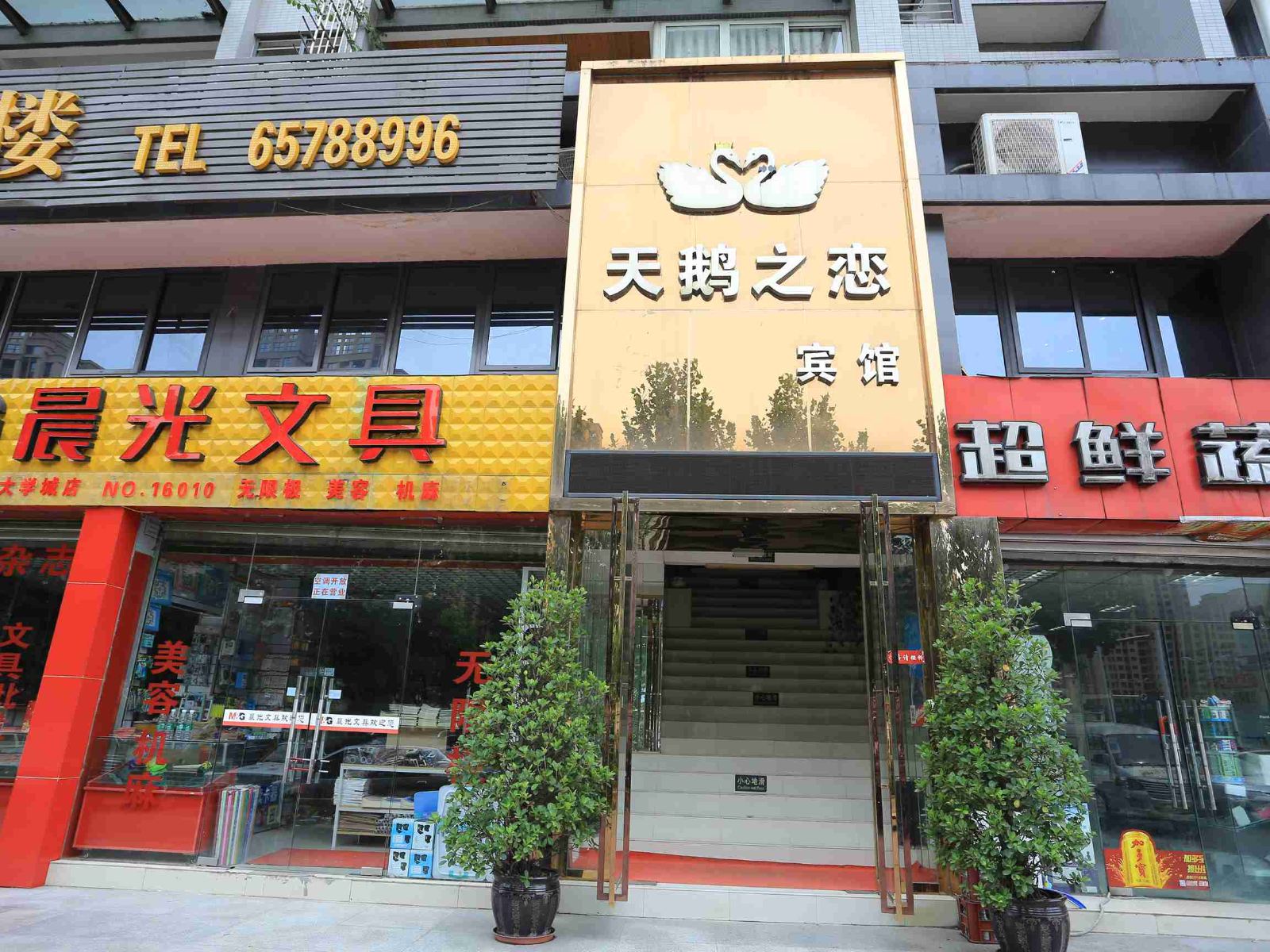重庆天鹅之恋宾馆