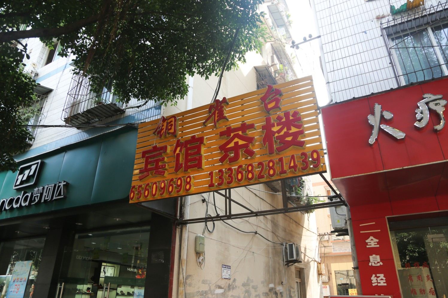 外观