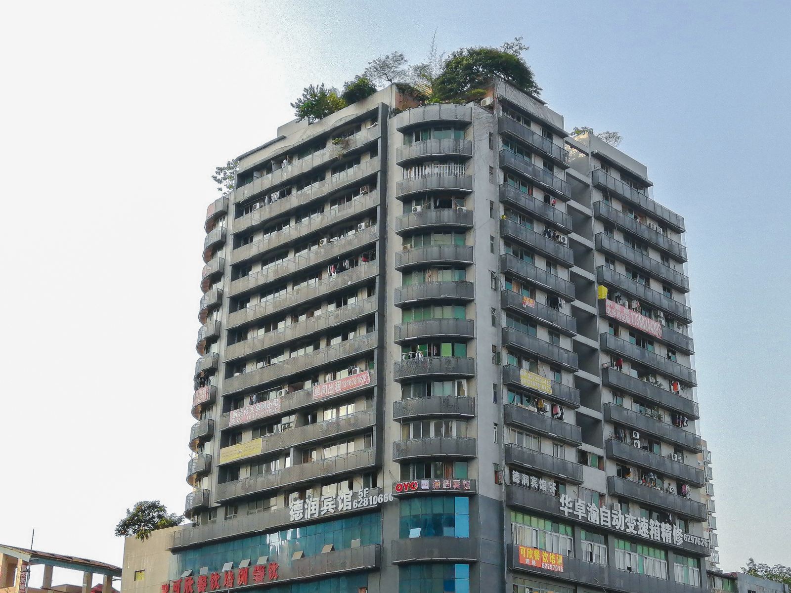 外观