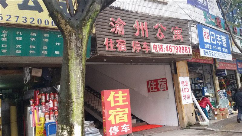 外观