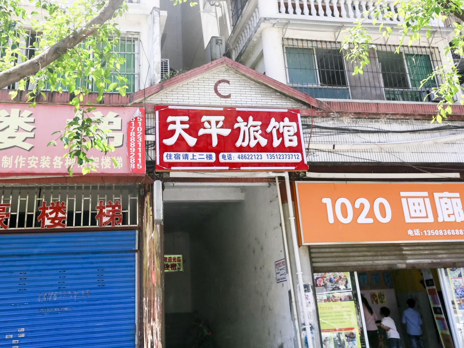 外观