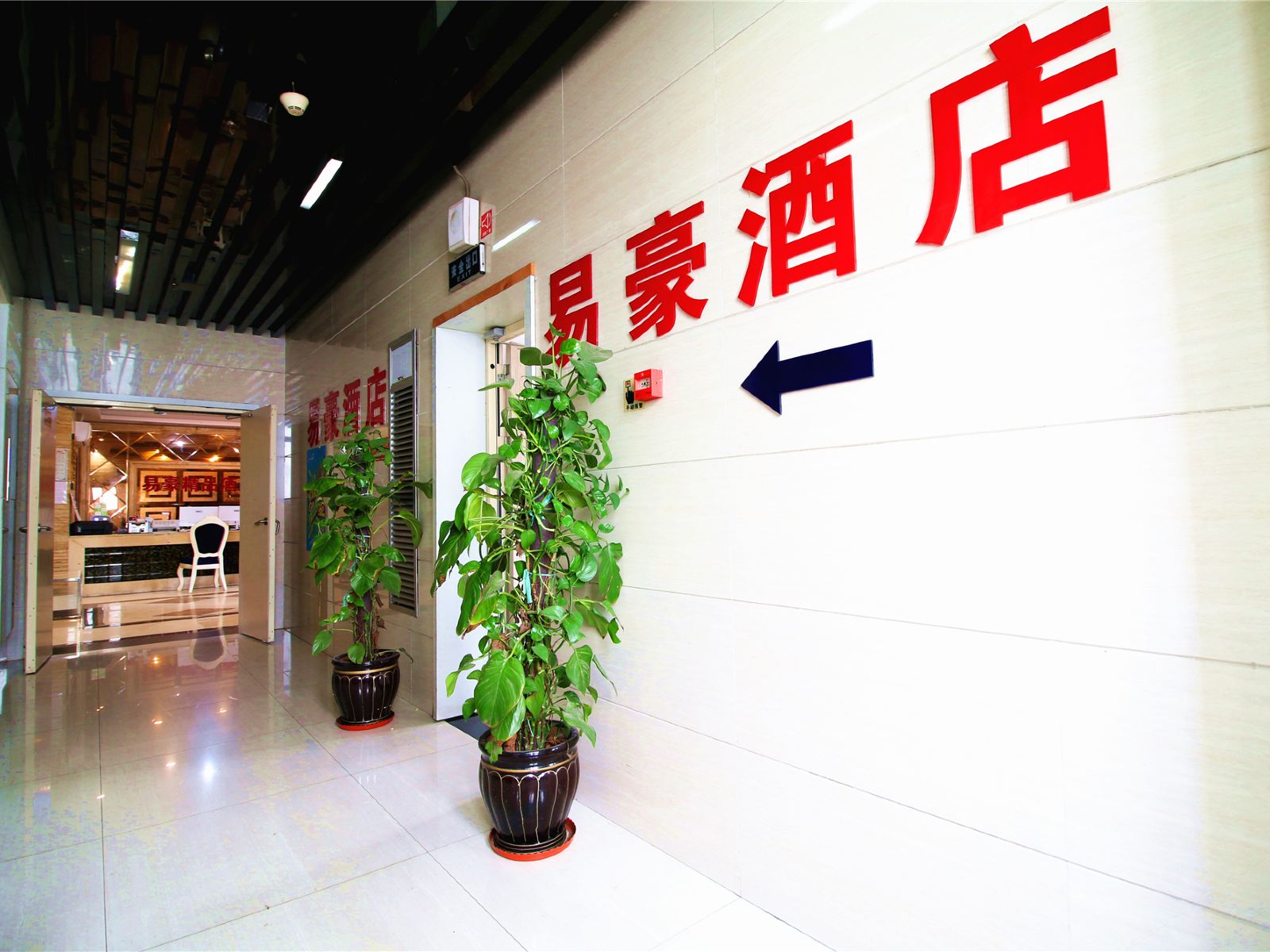 公共区域