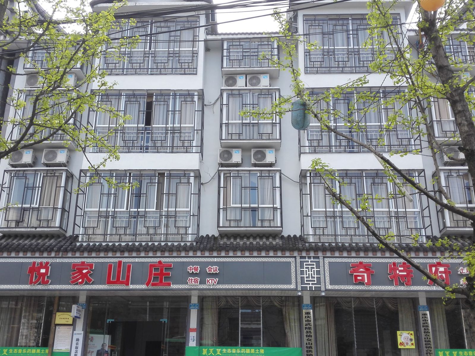 外观