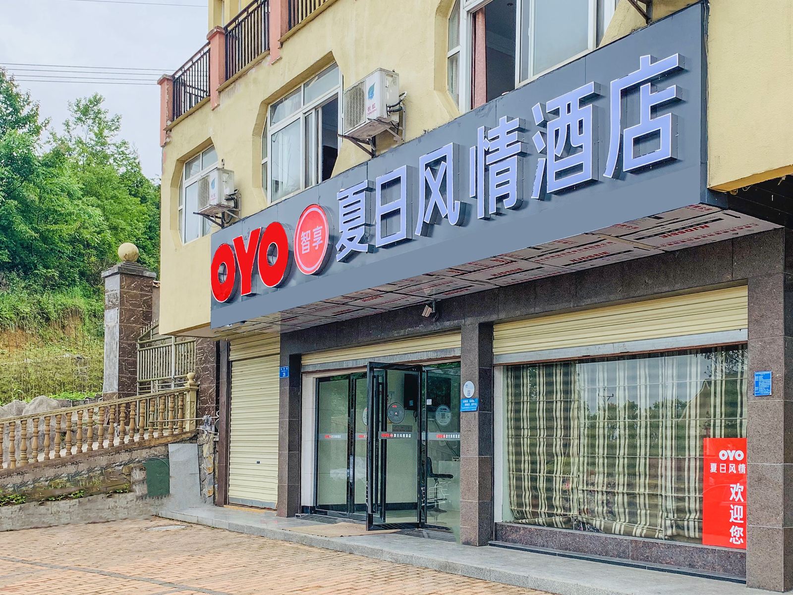 外观
