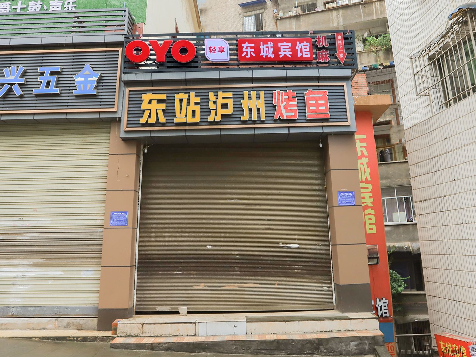 外观