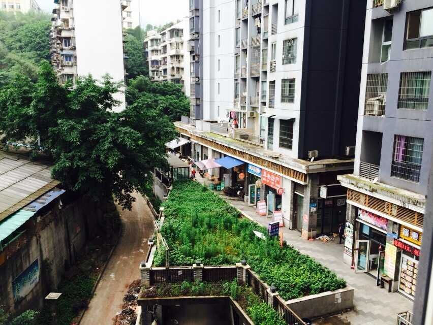 重庆花之恋主题公寓酒店
