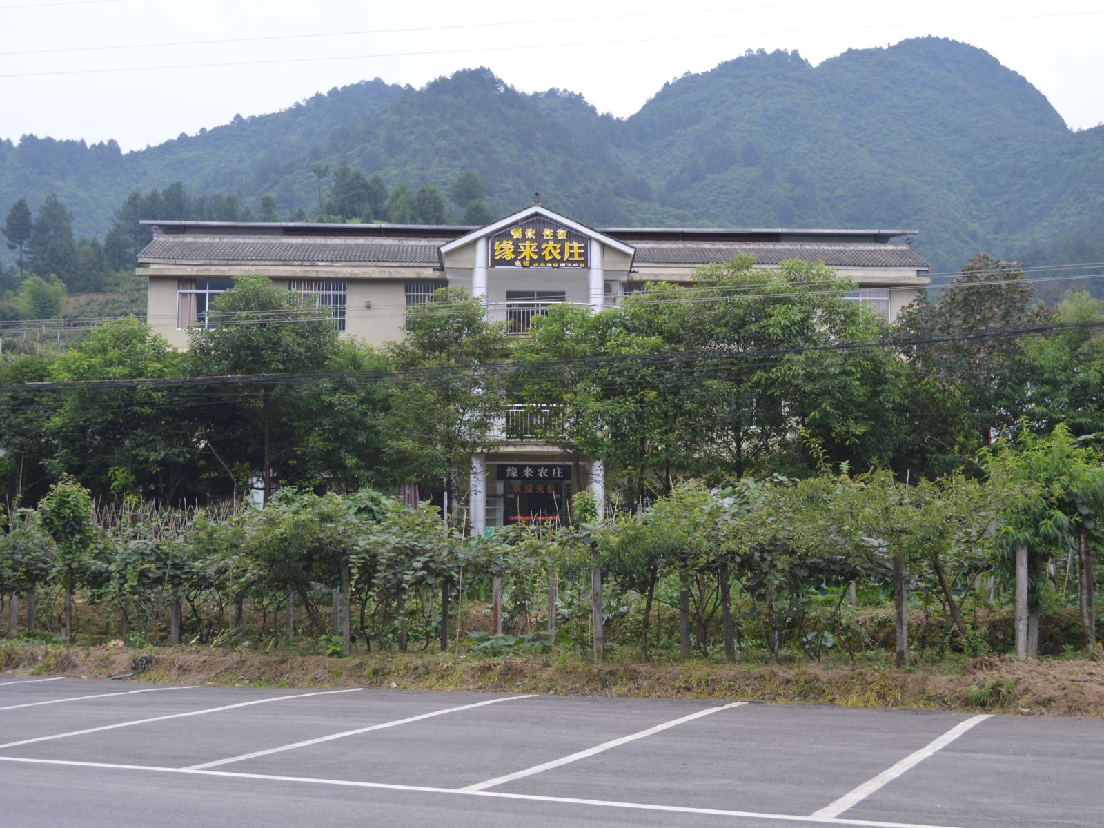 外观