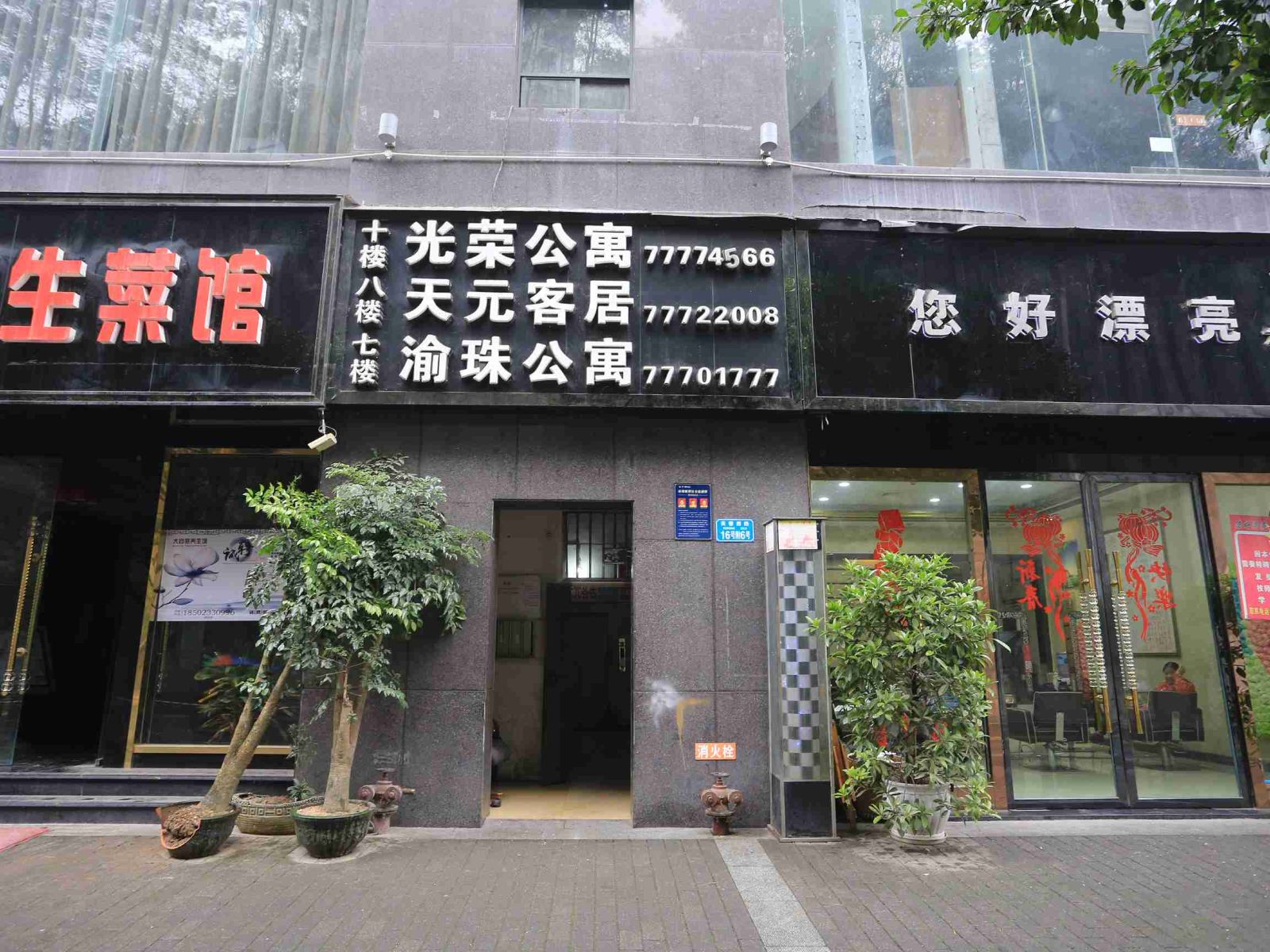 外观