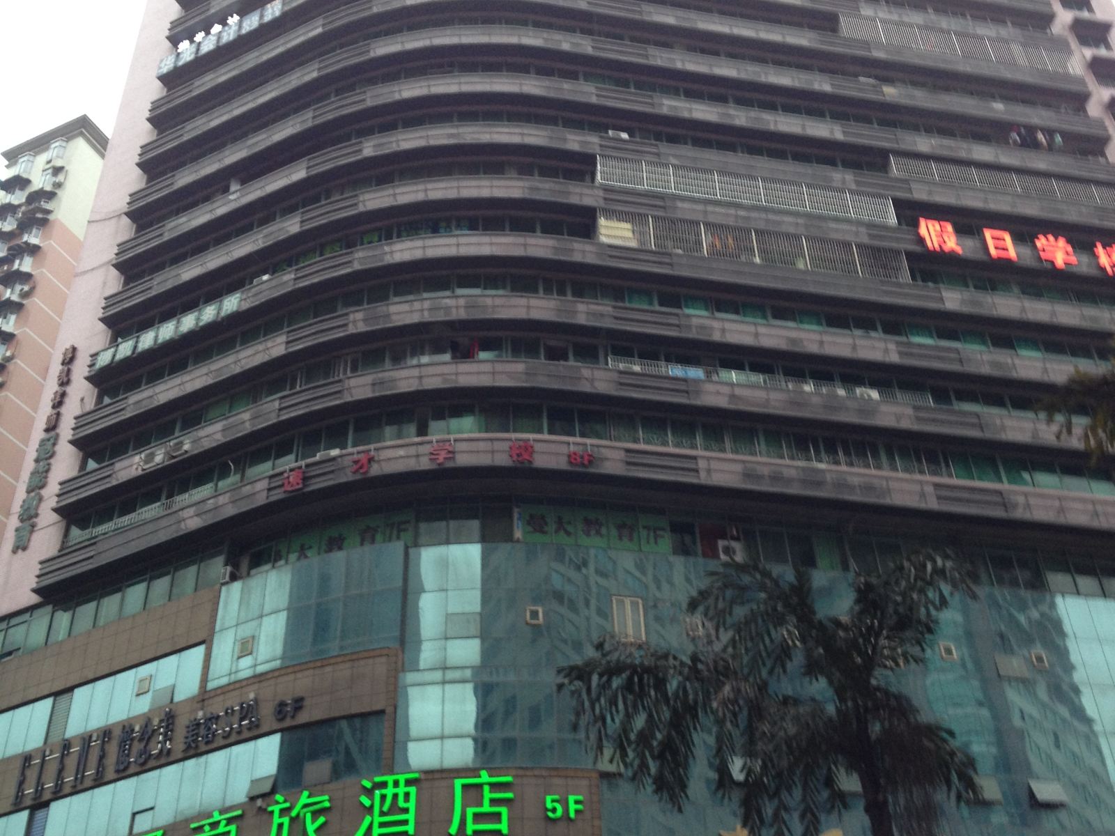 外观