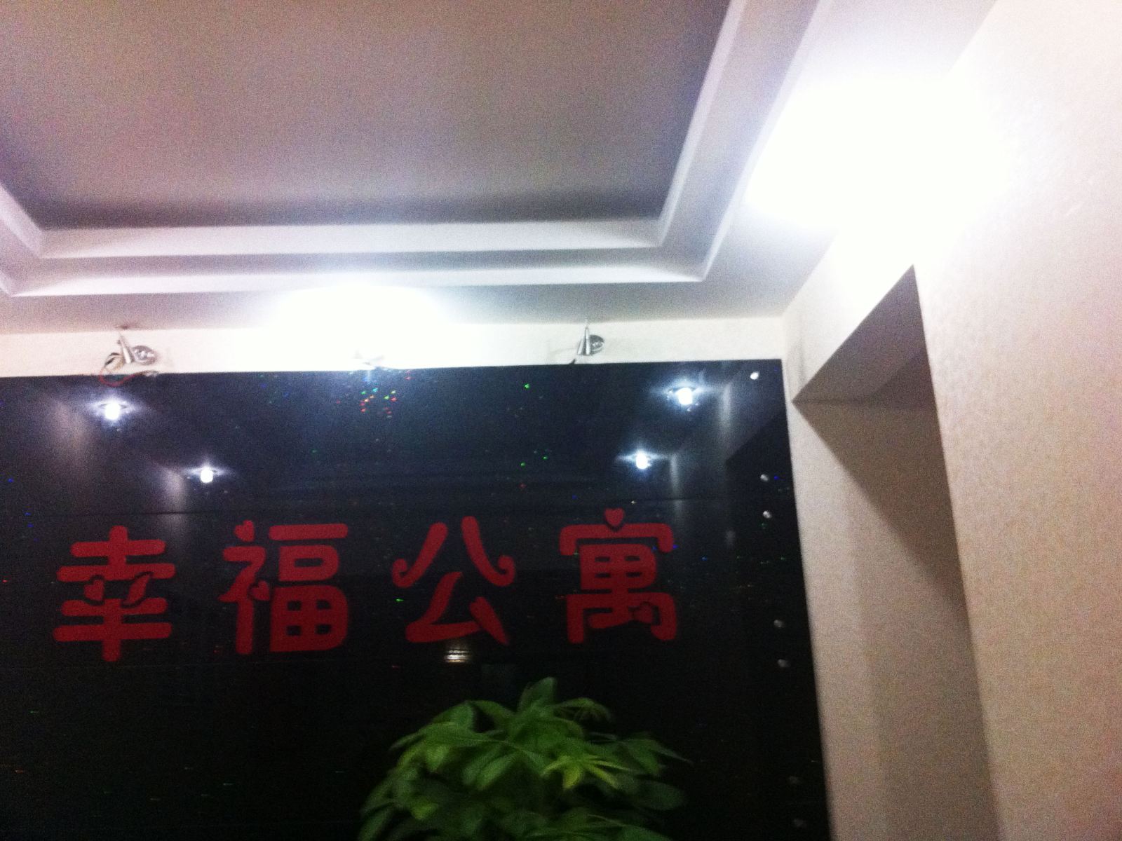 公共区域