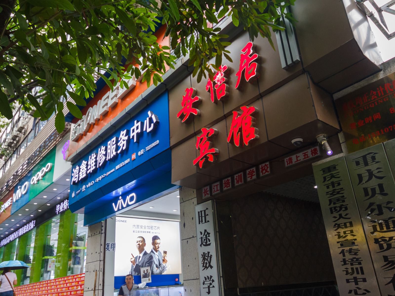 外观