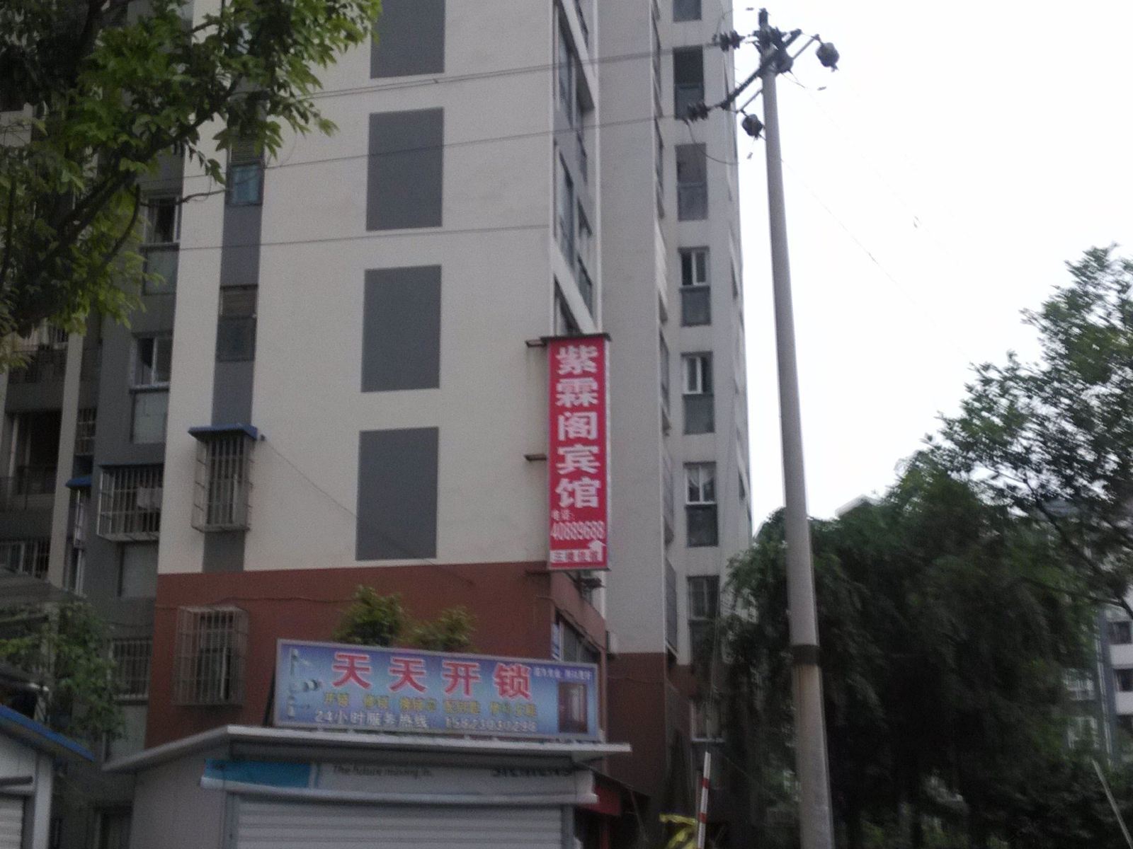 外观