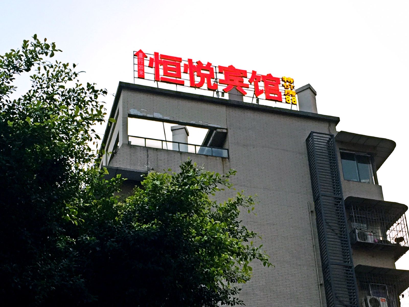 外观