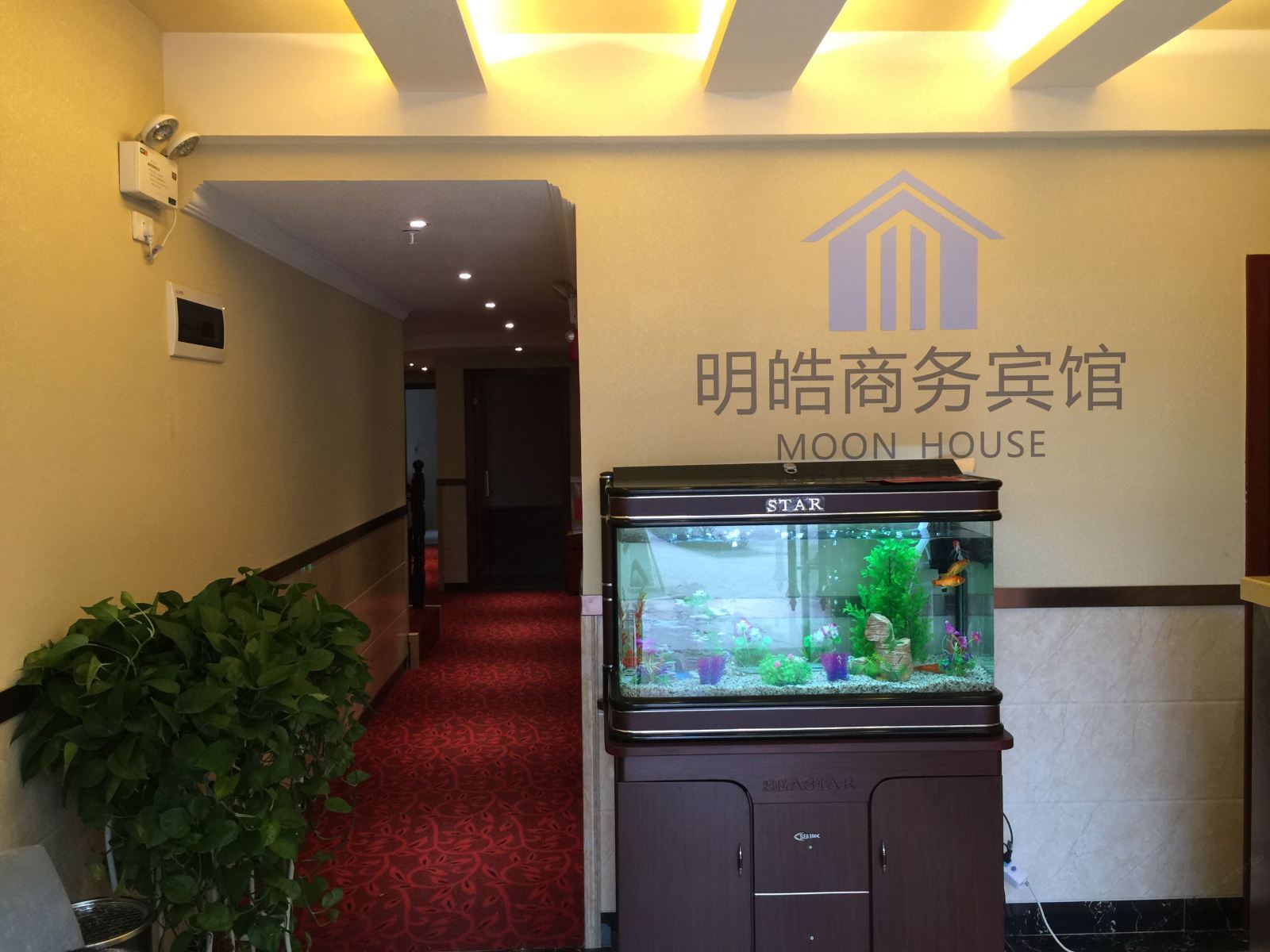 公共区域