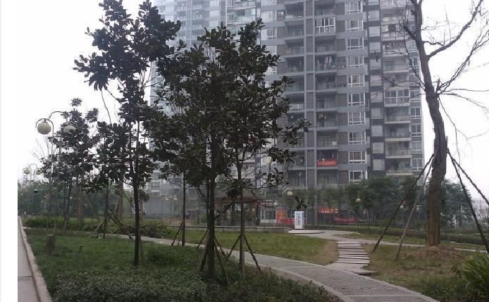 重庆统景心怡小栈