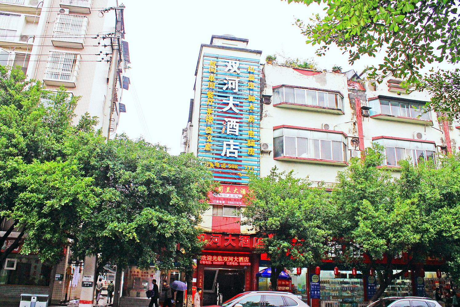 外观