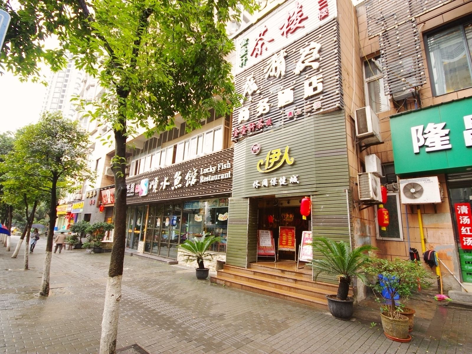 外观