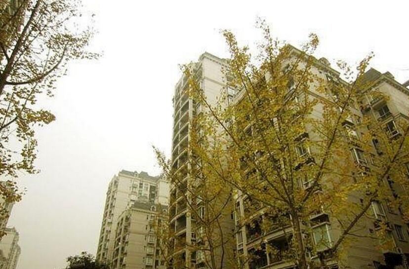 重庆兰花青年公寓