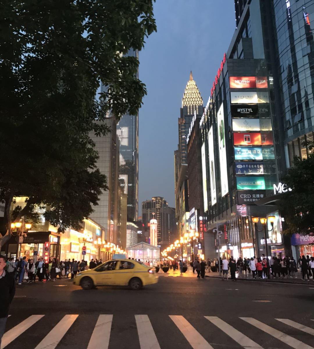 外观