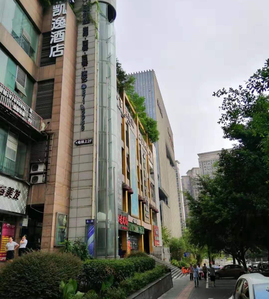 外观
