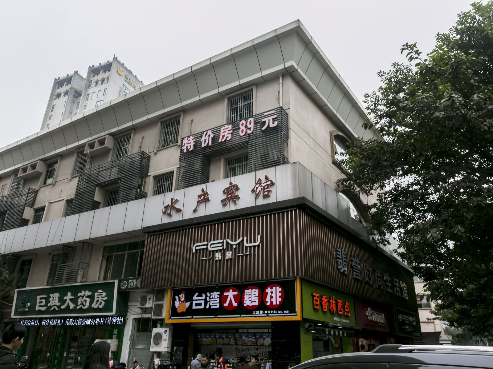 外观