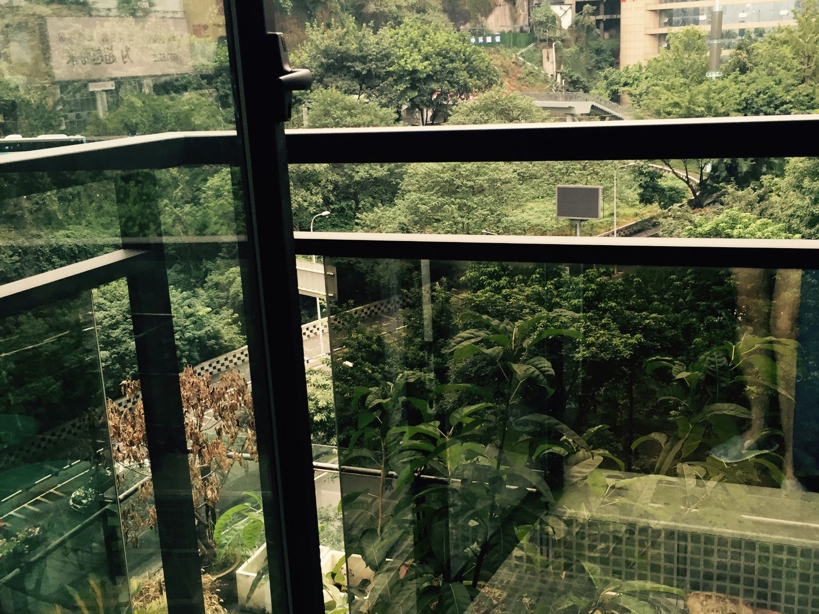 重庆近洪崖洞的杨杨小屋