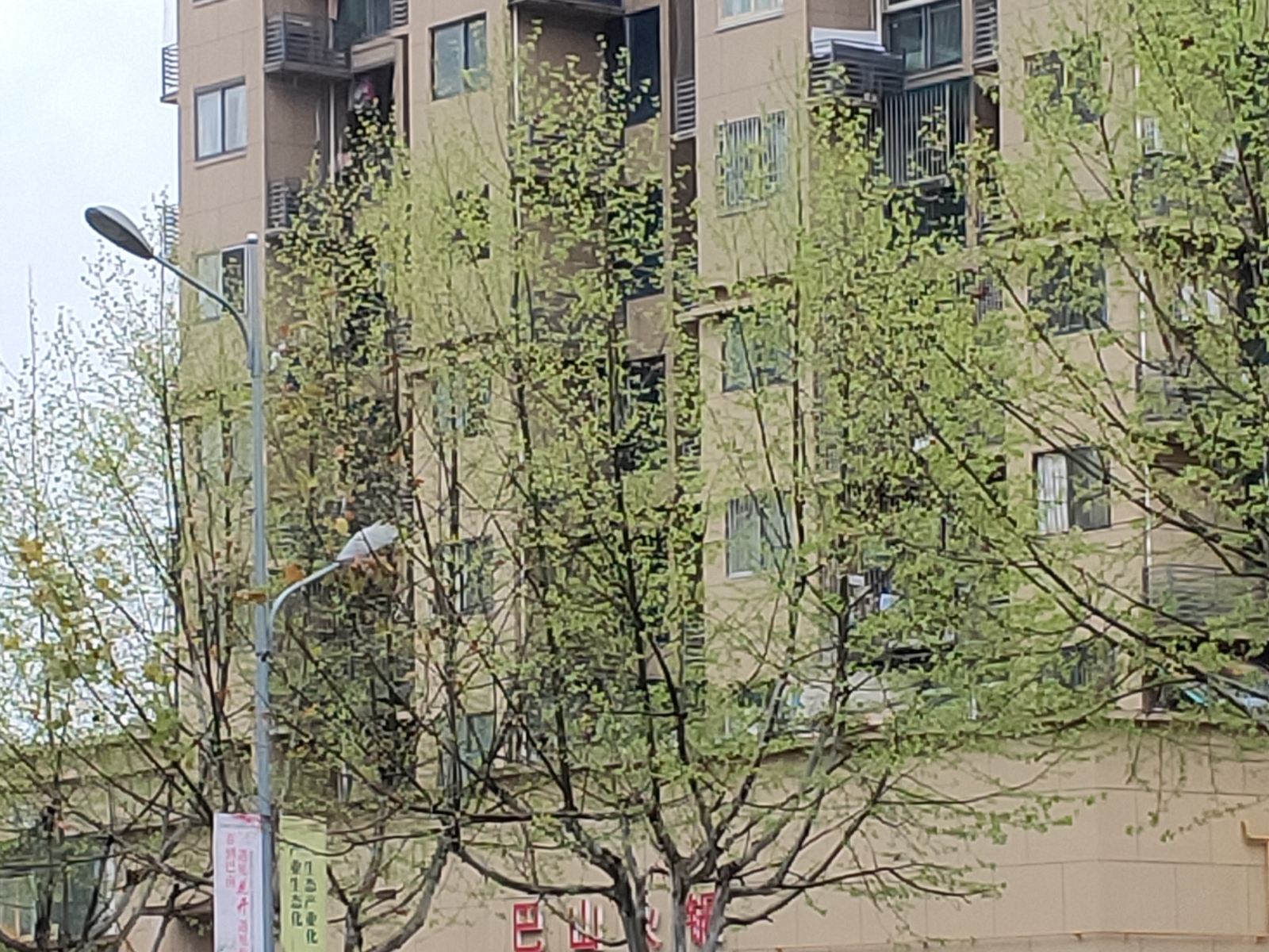 其他