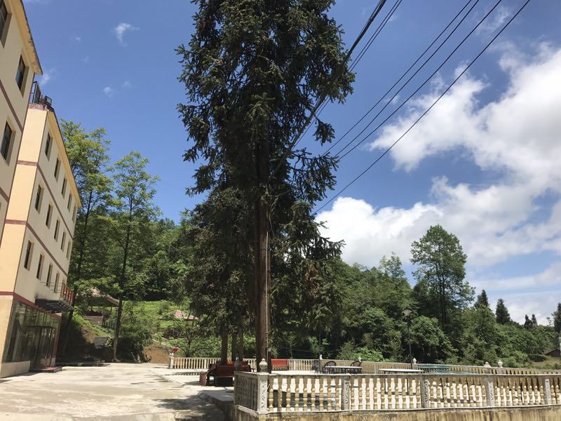 重庆武隆山女园酒店