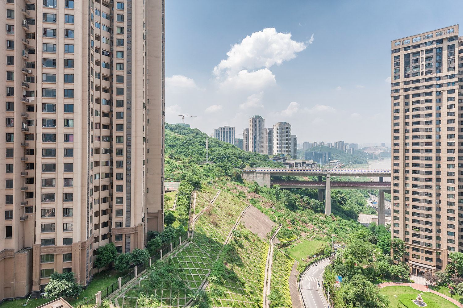 重庆长腿兔爷普通公寓