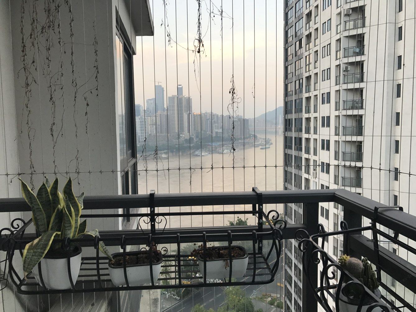 重庆收藏家的美窝普通公寓(南坪新街店)