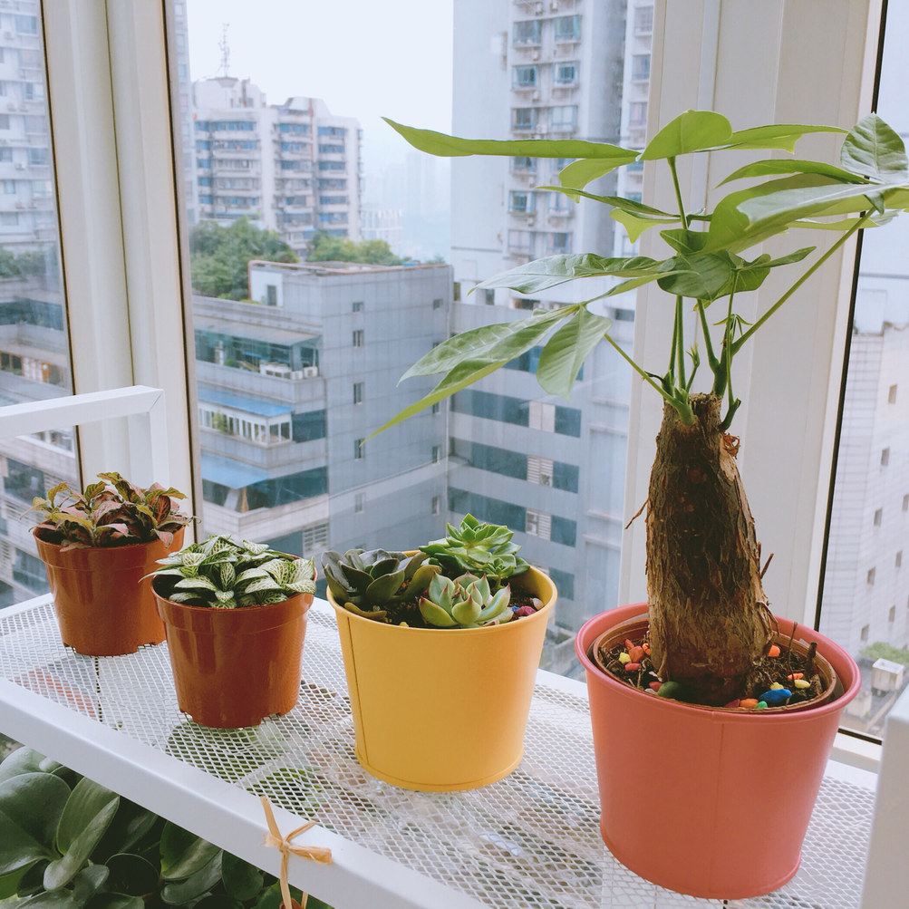 重庆北欧谜梦普通公寓