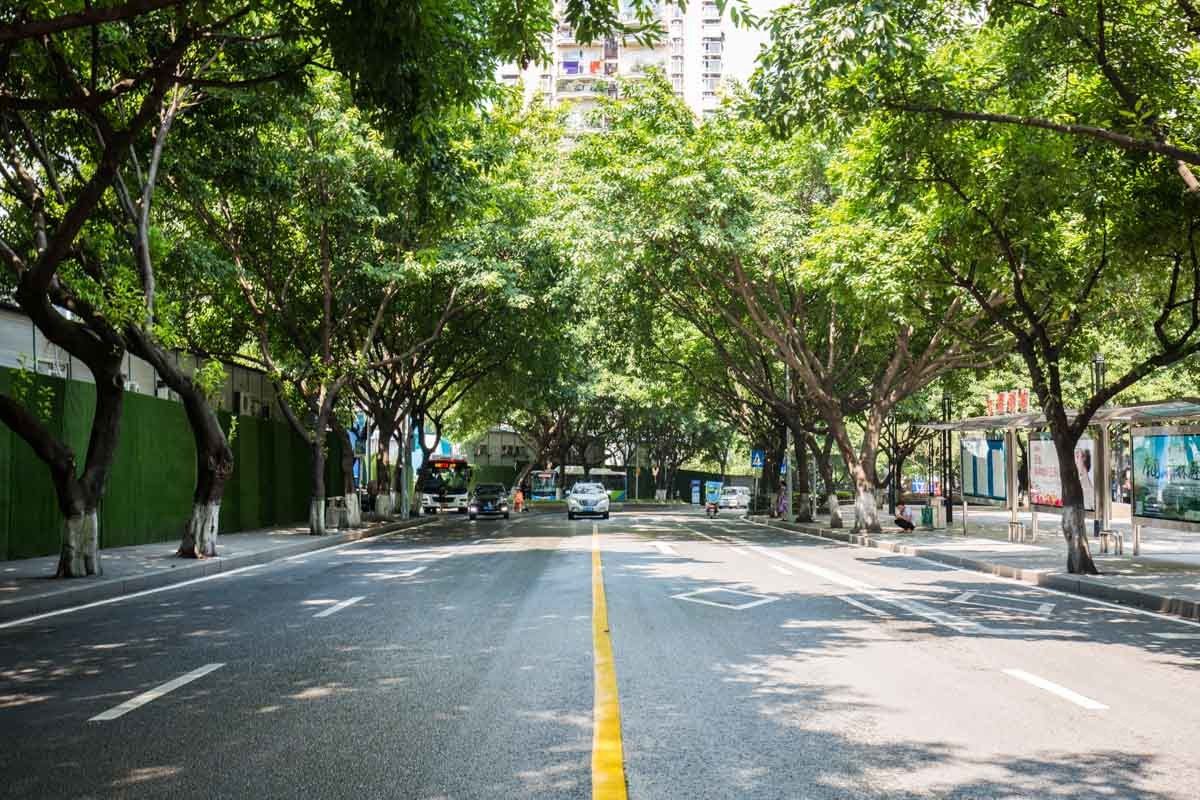 重庆喜茶家普通公寓(中山一路店)