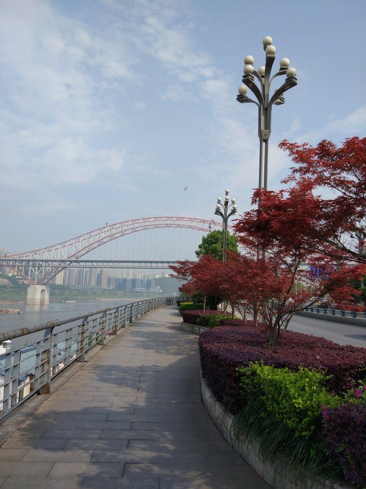 重庆菠萝蜜哆公寓(东坪村分店)
