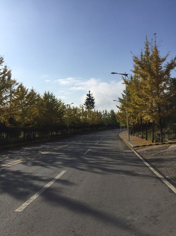 重庆仙山之家公寓(桂花路分店)