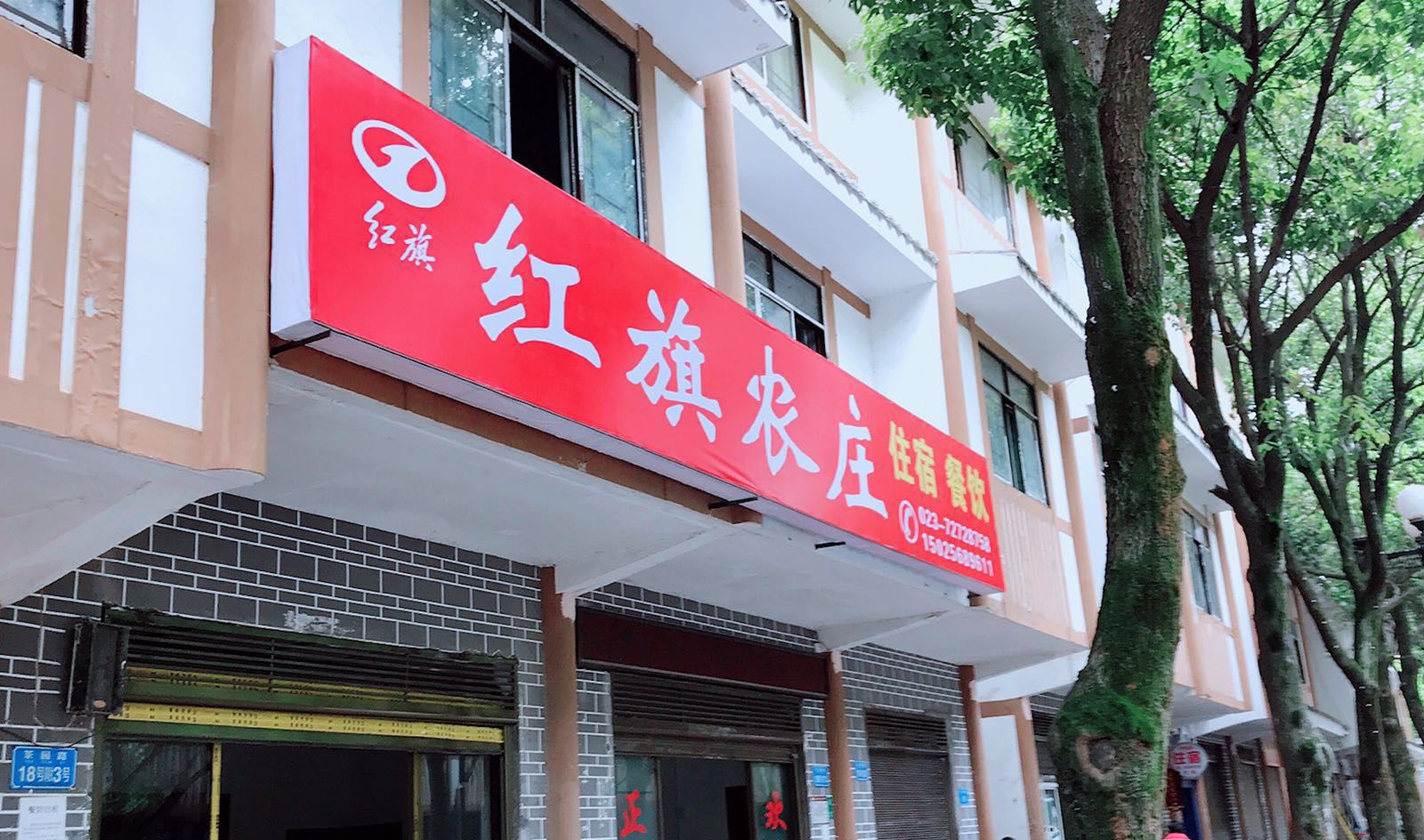 外观