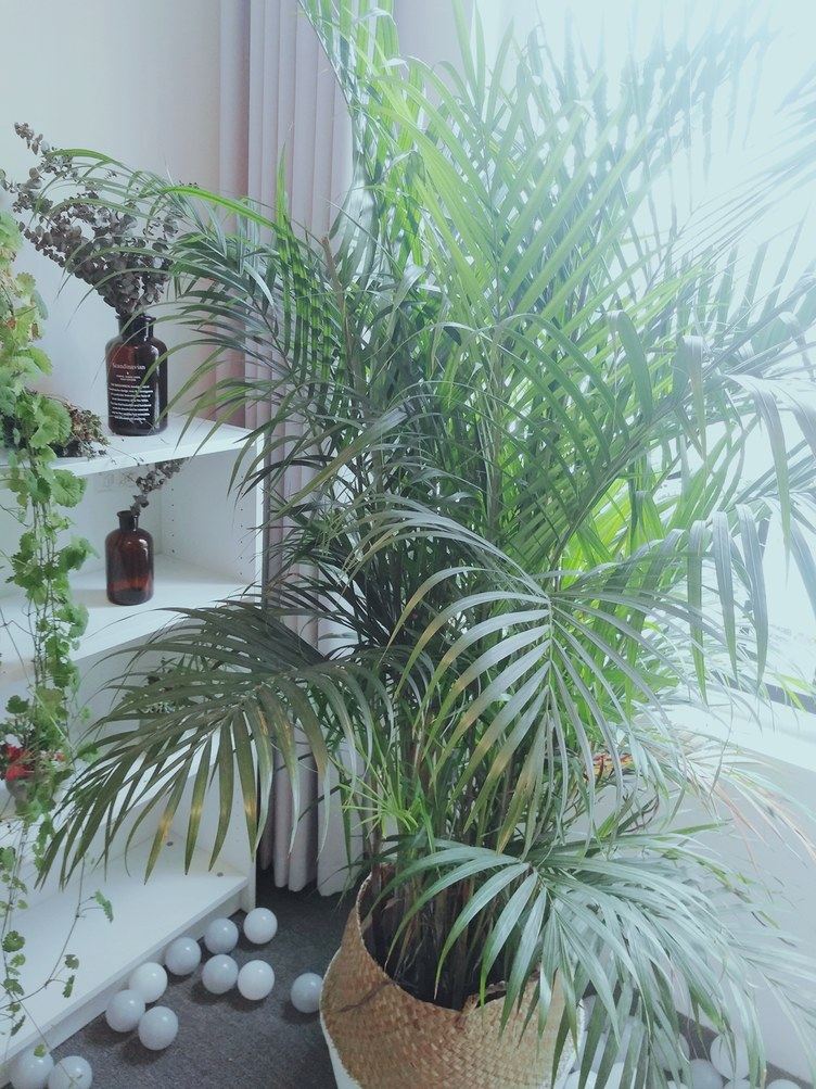 重庆末.未深度游首选.近磁器口的舒适小屋特色民宿(洋河二路分店)