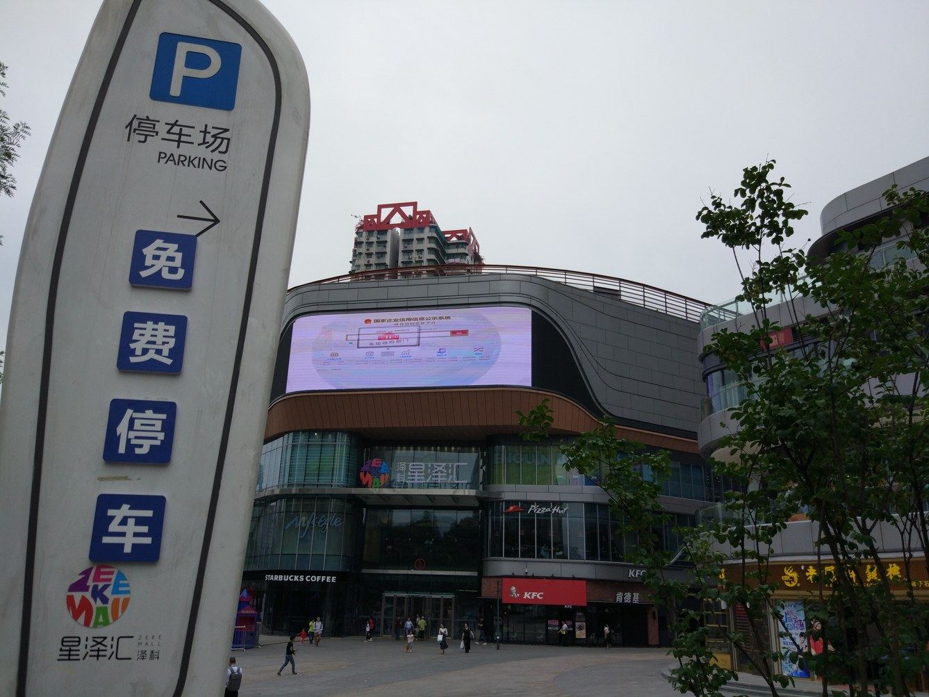 外观