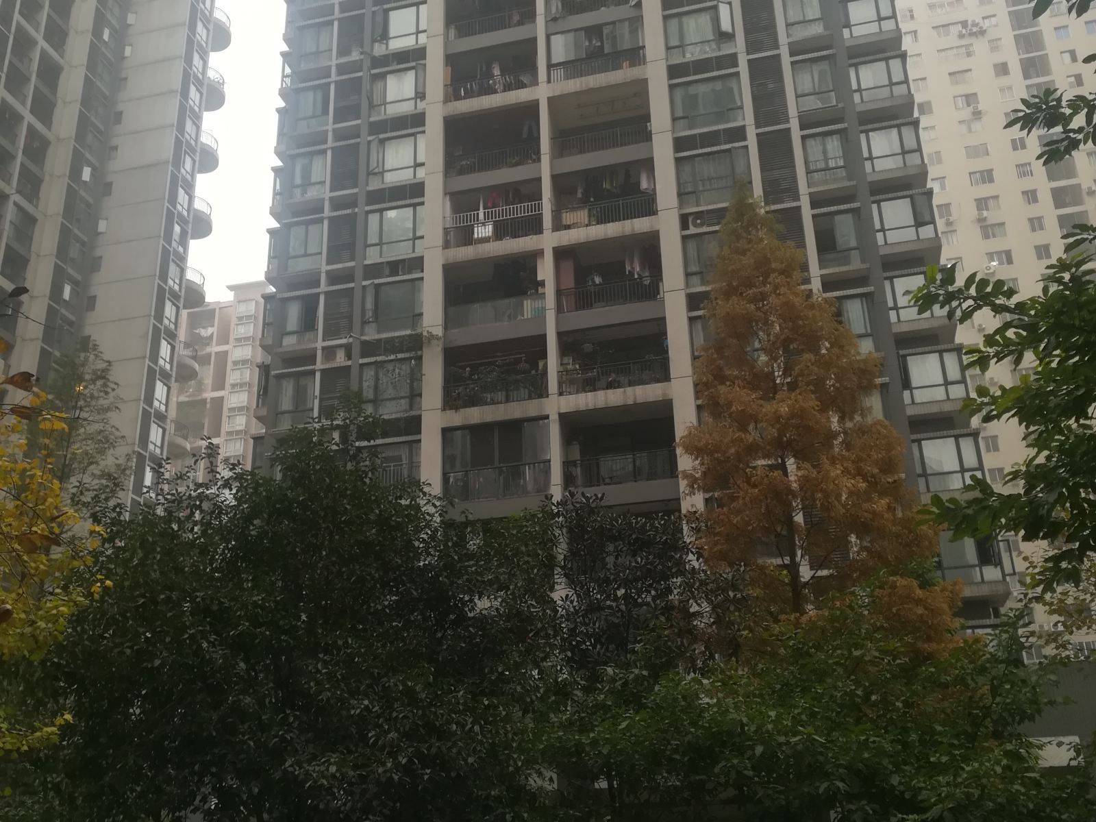 如途青年旅舍(重庆南坪万达店)