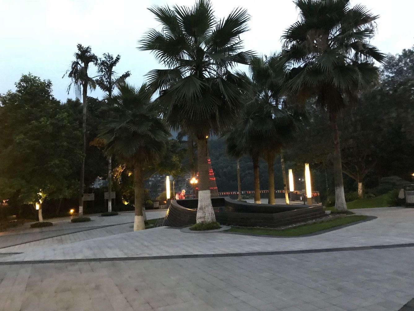 其他