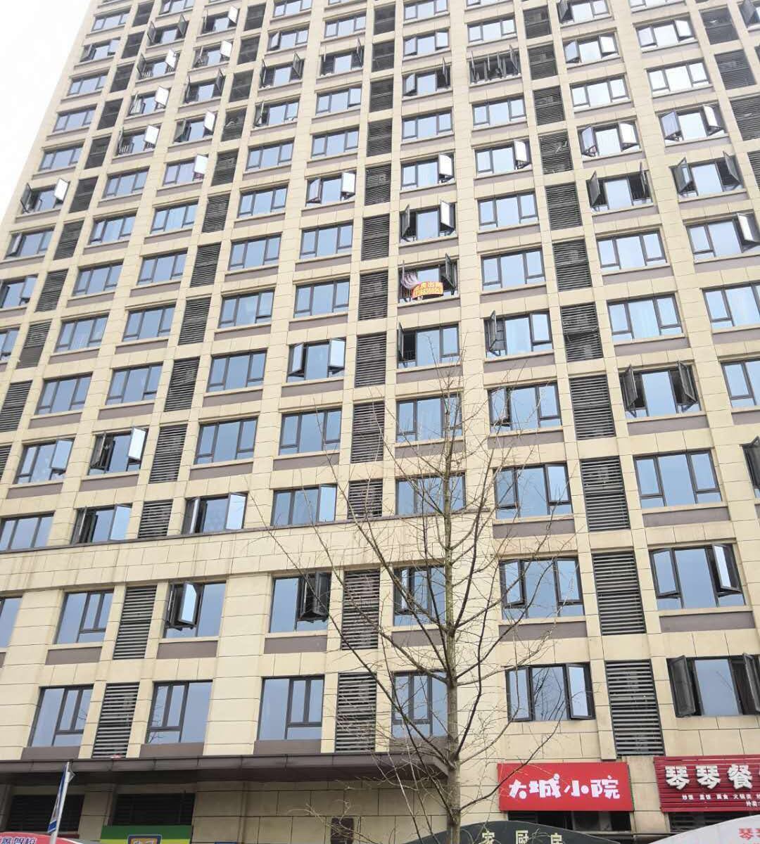 重庆丁丁猫公寓