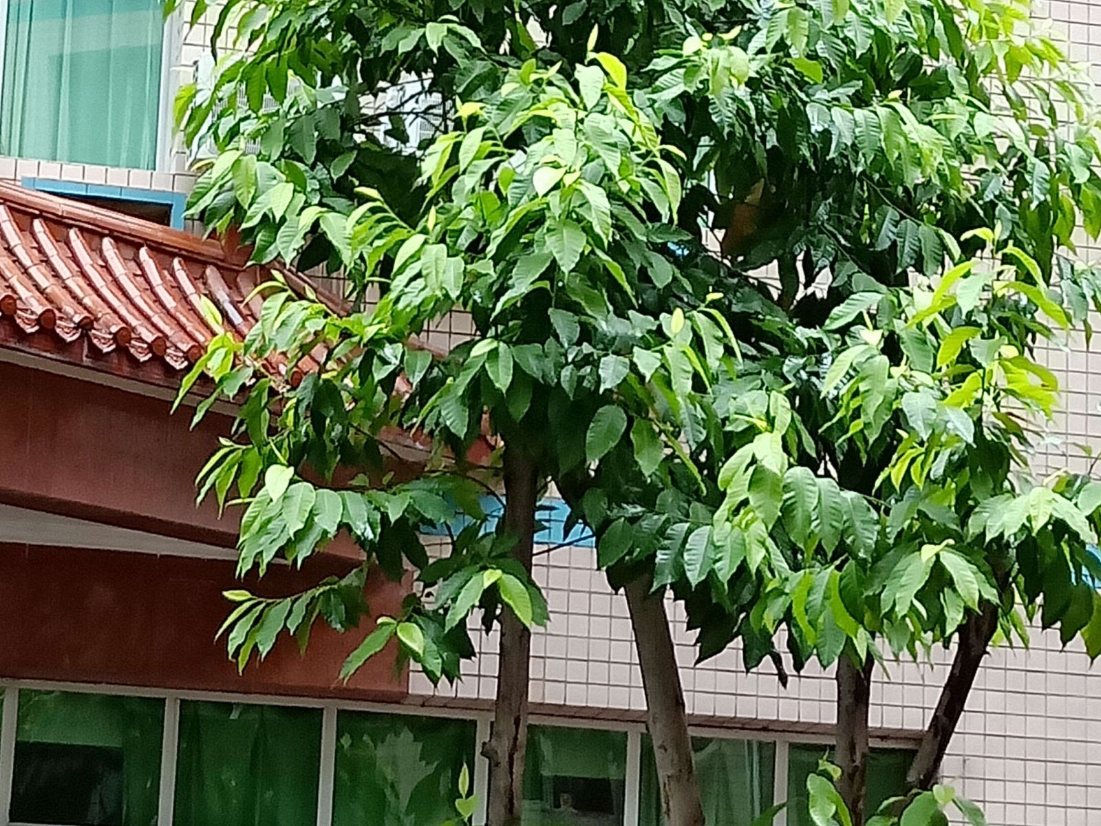重庆金湖宾馆