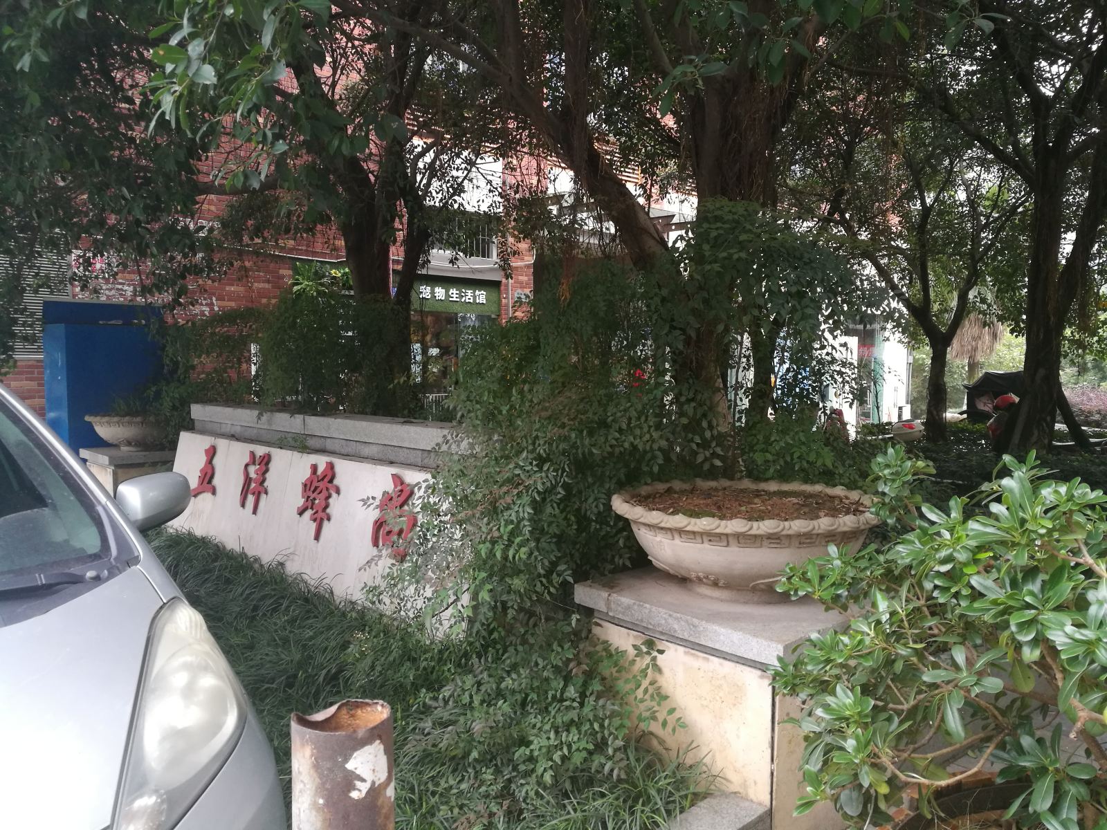 公共区域