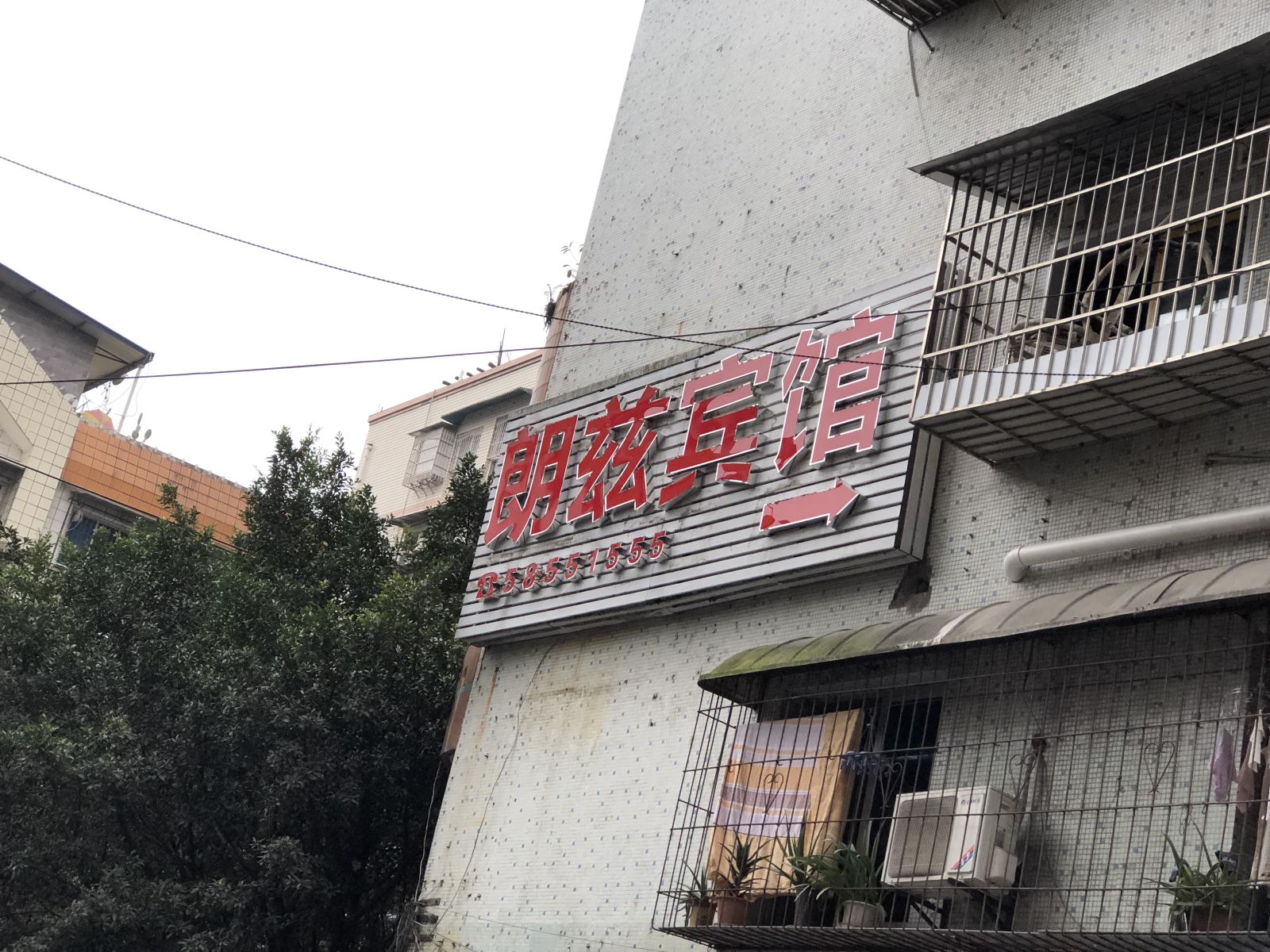 外观