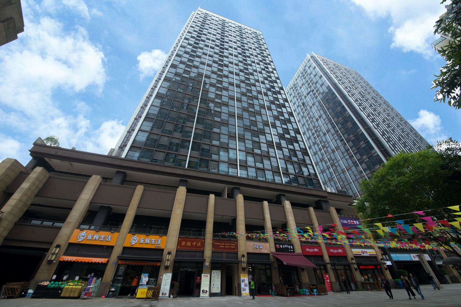 外观