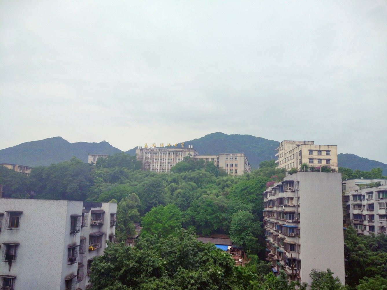 其他