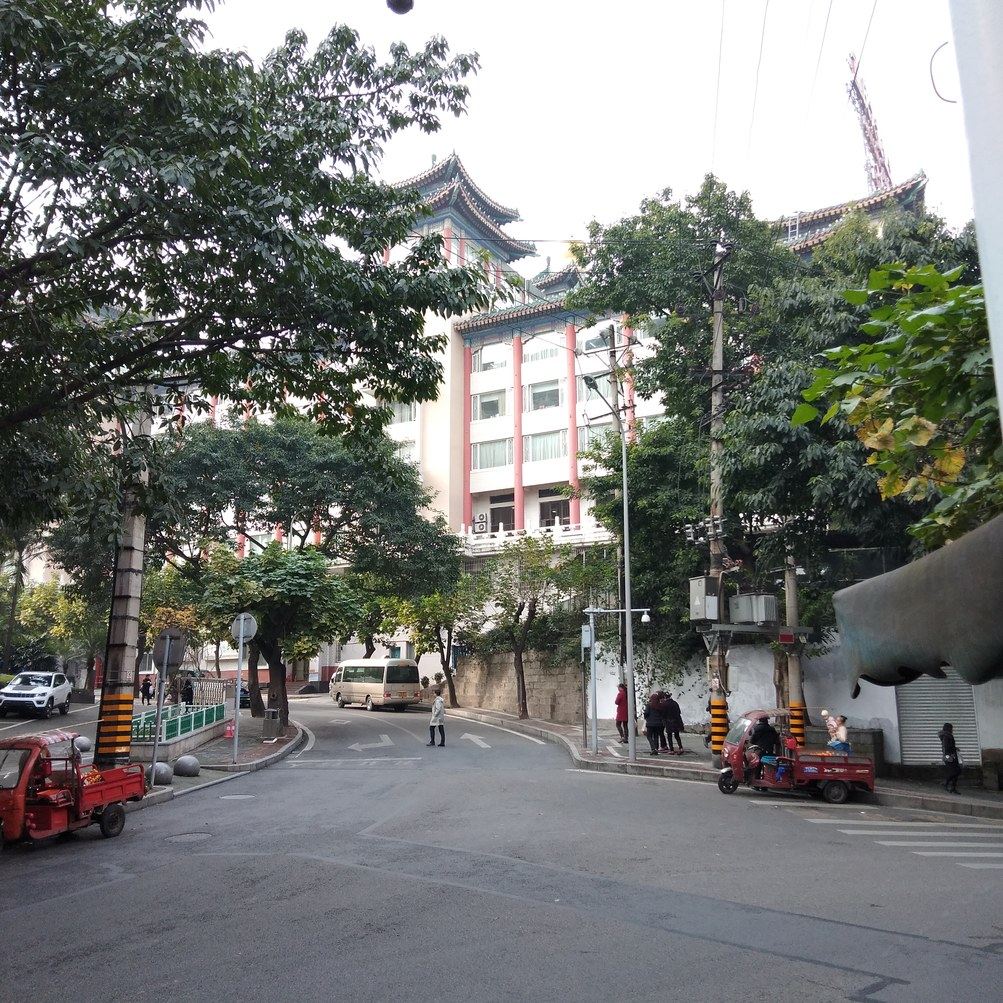 其他