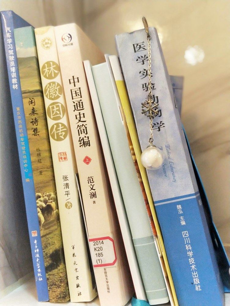 其他