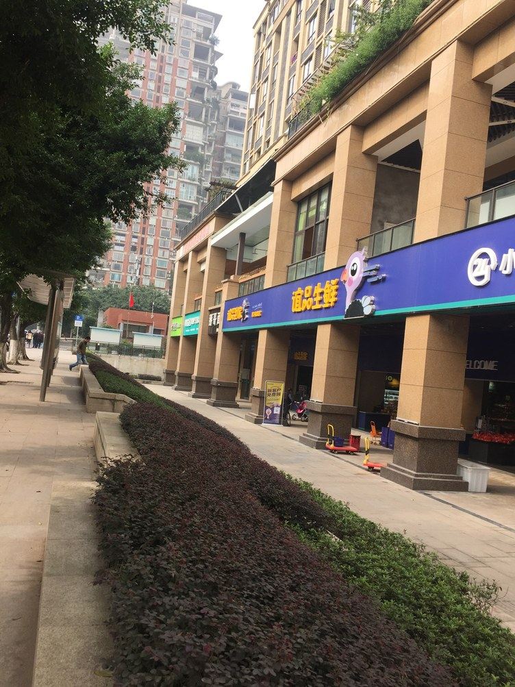 其他
