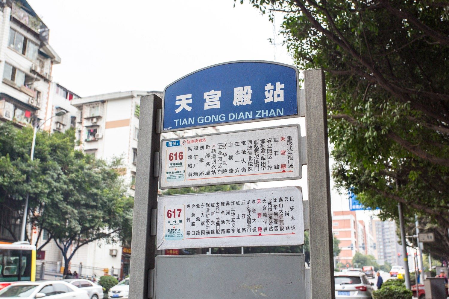 其他